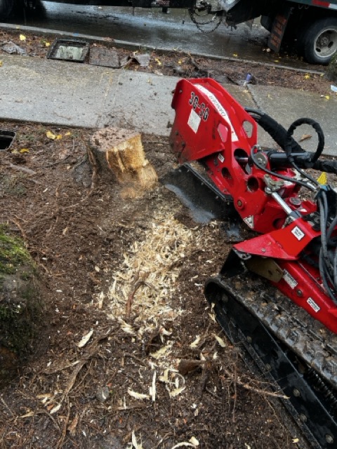 Professional stump grinding equipment in action