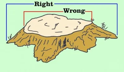 Stump grinding project